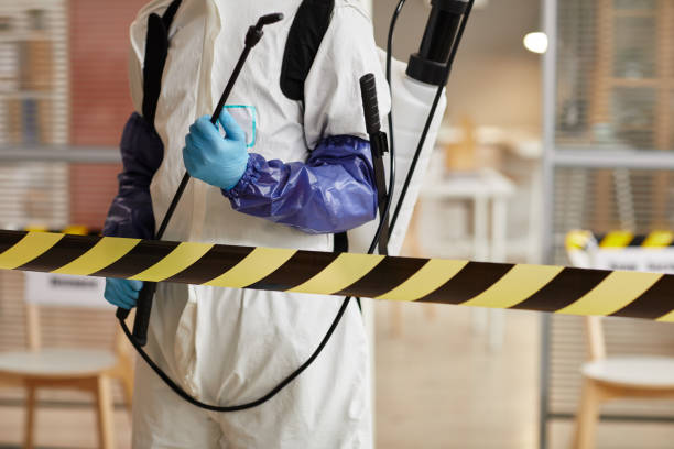 Professional Infectious Disease Decontamination technician working in Crestline, CA