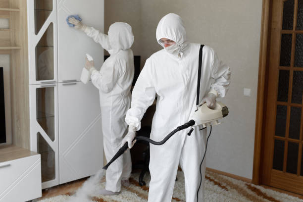 24/7 Emergency Infectious Disease Decontamination experts in Crestline, CA