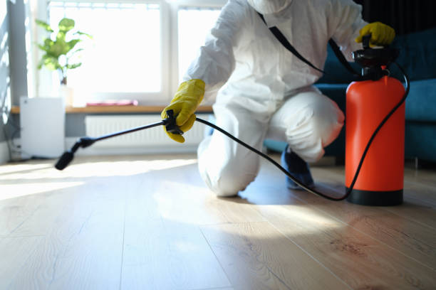 Reliable Infectious Disease Decontamination contractor in Crestline, CA by Trauma Clean Pros